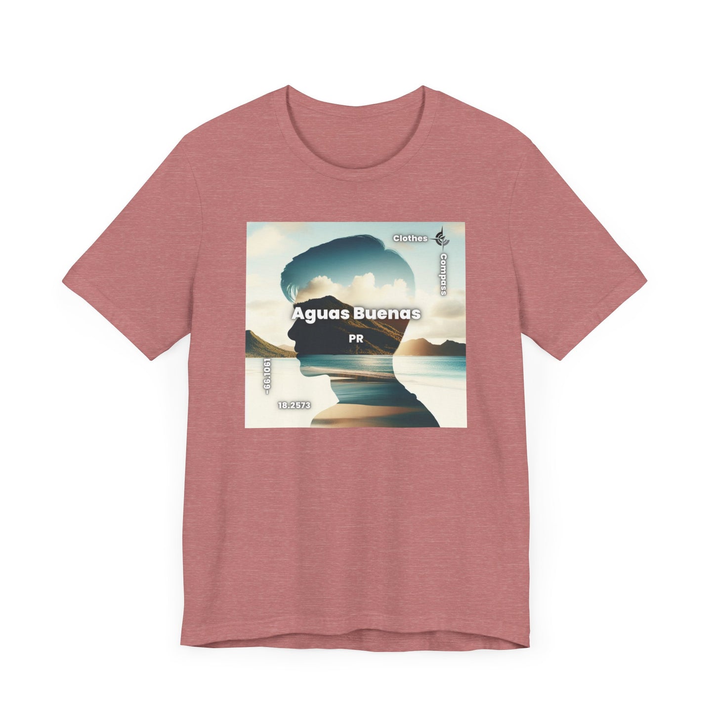"Aguas Buenas Oasis"